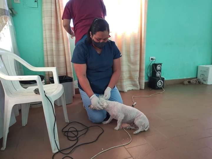 Es intendenta y también colabora como veterinaria