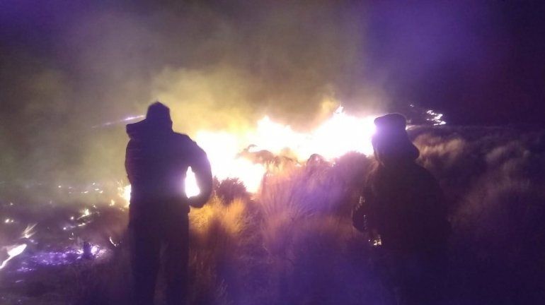 Un gran incendio forestal afecta la estancia de Roemmers en Las Lajas.