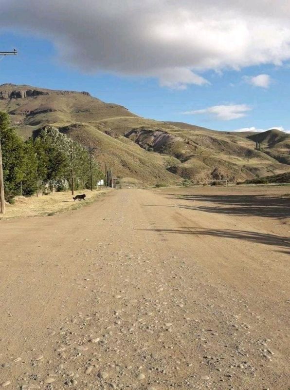 Cómo es el protocolo de salidas recreativas en Villa Pehuenia y Moquehue