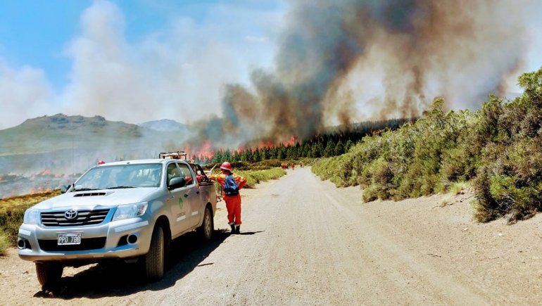 Descontrolado incendio afecta a 1200 hectáreas en forestación de Corfone en Caviahue.