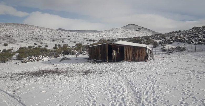 La Municipalidad de Andacollo visita a los Puesteros