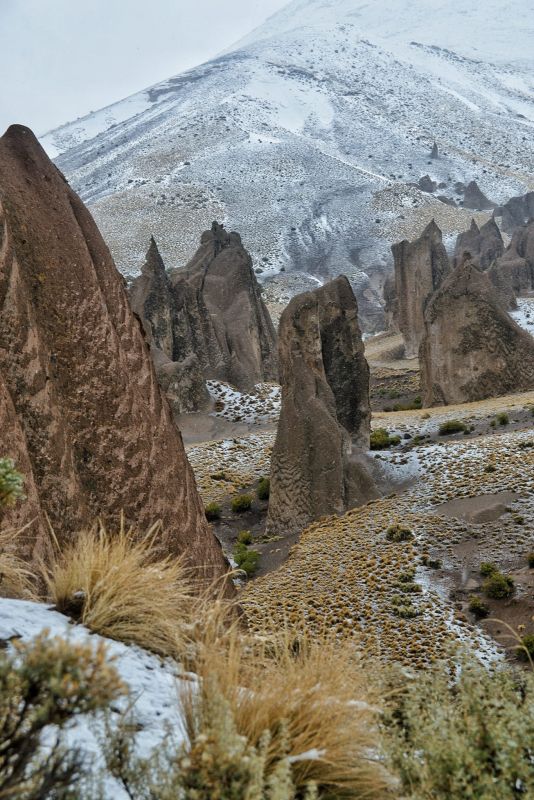 Volvió a nevar en el norte neuquino y Los Bolillos fue el lugar más lindo para verlo