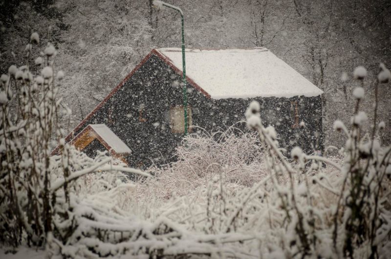 ¿Viste el bosque de San Martín de los Andes durante la nevada?