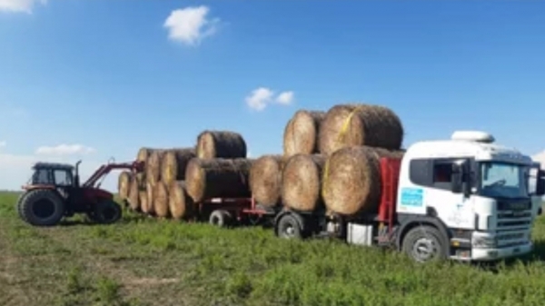 Fuego: 1.000 toneladas de forraje esperan en las rutas de Corrientes