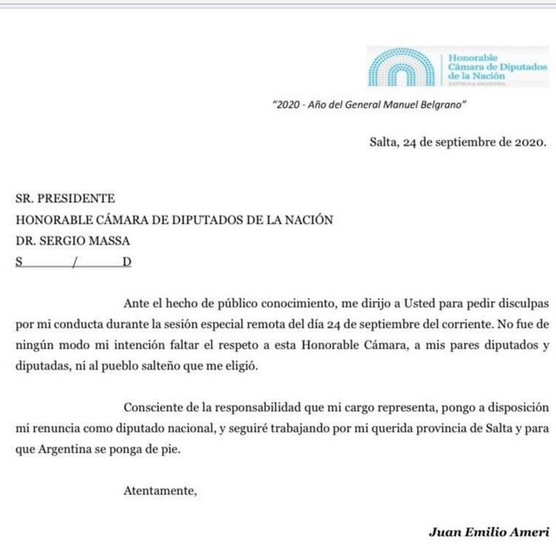 Qué dice la carta de renuncia presentada por Ameri al presidente de diputados