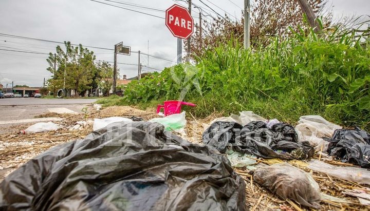 El 94% de los casos de dengue, en San Martín, Anta y Orán