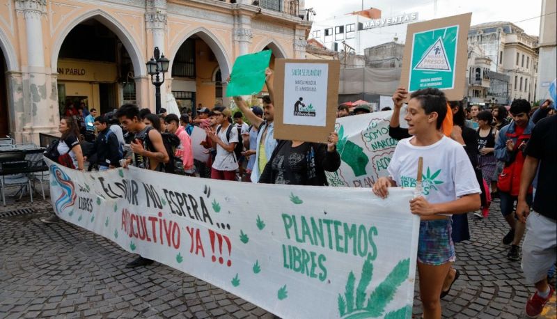 Cannabis medicinal: el Gobierno permitirá el cultivo personal y la venta de aceites en farmacias