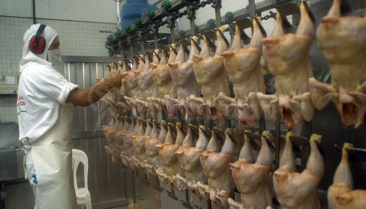 Advierten que habrá sobreoferta de pollo y esperan que baje el precio