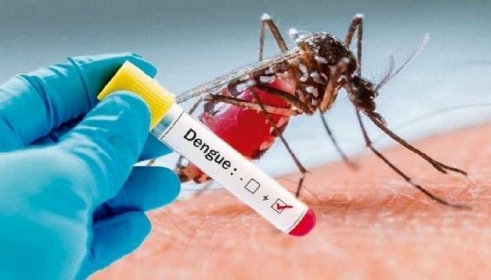 Son 39 los muertos por dengue en el país y alertan por un genotipo del virus que circula por primera vez