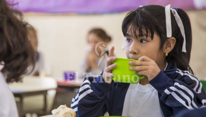 No habrá desayuno ni merienda en las escuelas: Quedan sin copa de leche 120 mil alumnos
