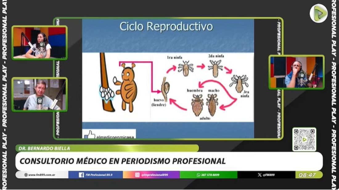 Médico salteño brindó consejos claves para combatir los piojos en la vuelta a clases