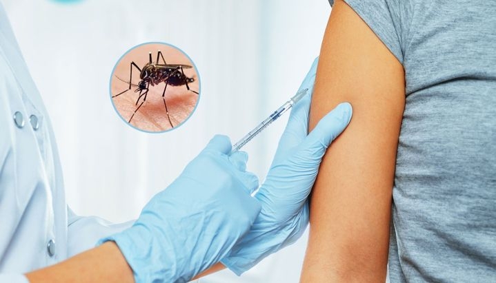 Advierten que la vacuna contra el dengue es efectiva, pero requiere que se mantenga el control del vector