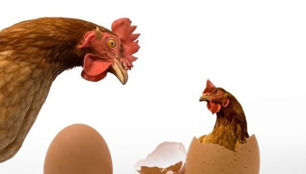 La inteligencia artificial lo respondió: ¿Qué fue primero el huevo o la gallina?