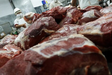 Alertan por el riesgo sanitario detrás del contrabando de carne