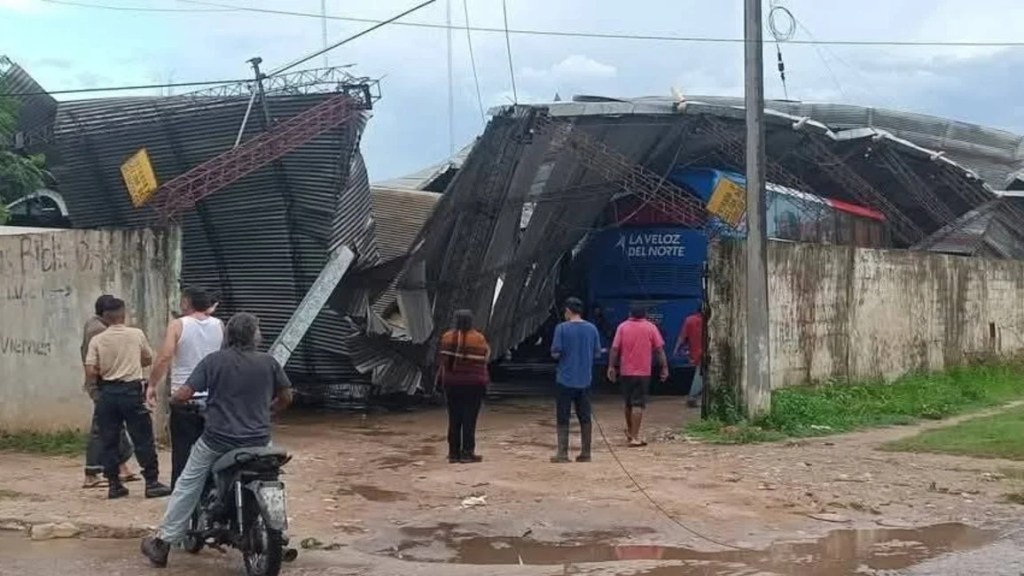 Clima en el norte de Salta: temporal de granizo, lluvia y viento en el norte dejó árboles caídos, vehículos destruidos y ciudades anegadas