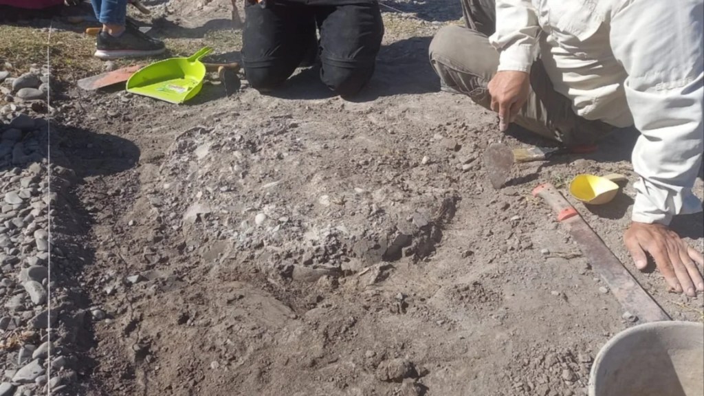 Hallazgo arqueológico: los restos serían de una cultura poco conocida