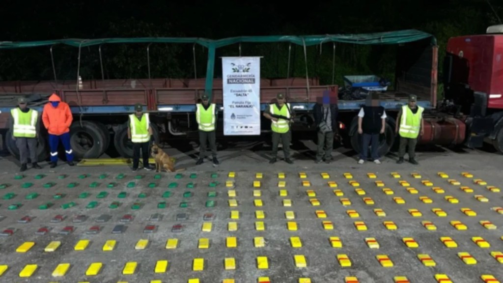 Desde el 1 abril secuestraron más de media tonelada de cocaína en Salta