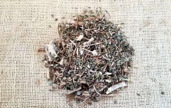 Con la proximidad de la primavera crece el consumo de muña muña o “yuyito del amor”