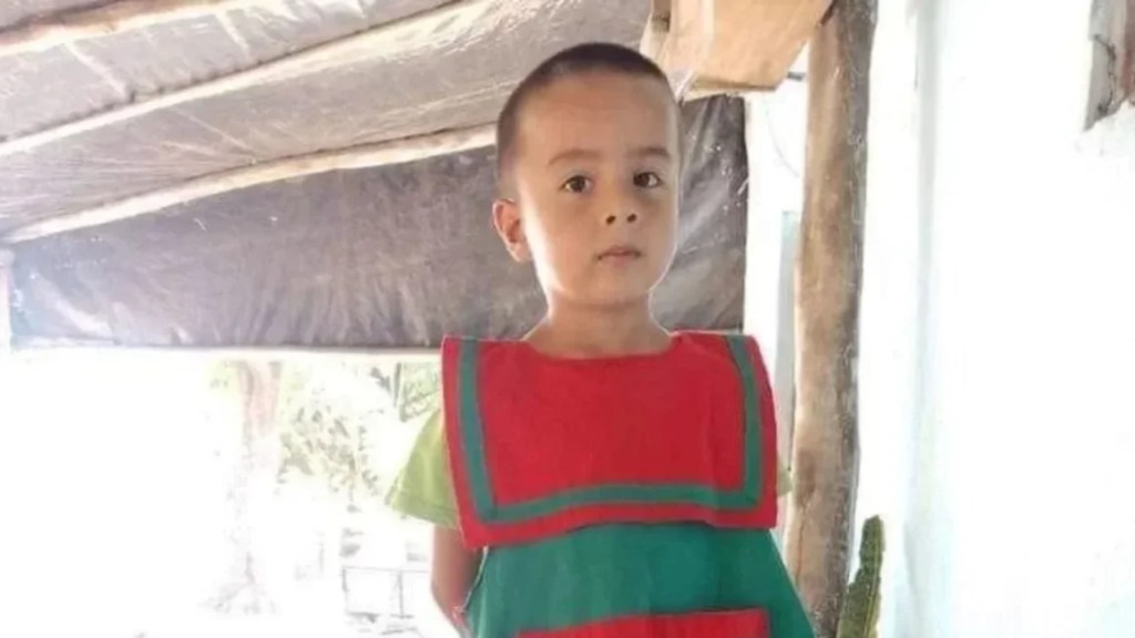 Caso Loan: Se cumplen 100 días desde la desaparición del niño correntino