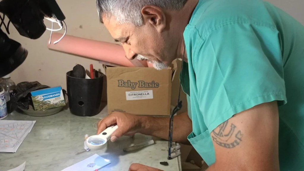 Güemes: preocupa la presencia de mosquitos del dengue en las casas