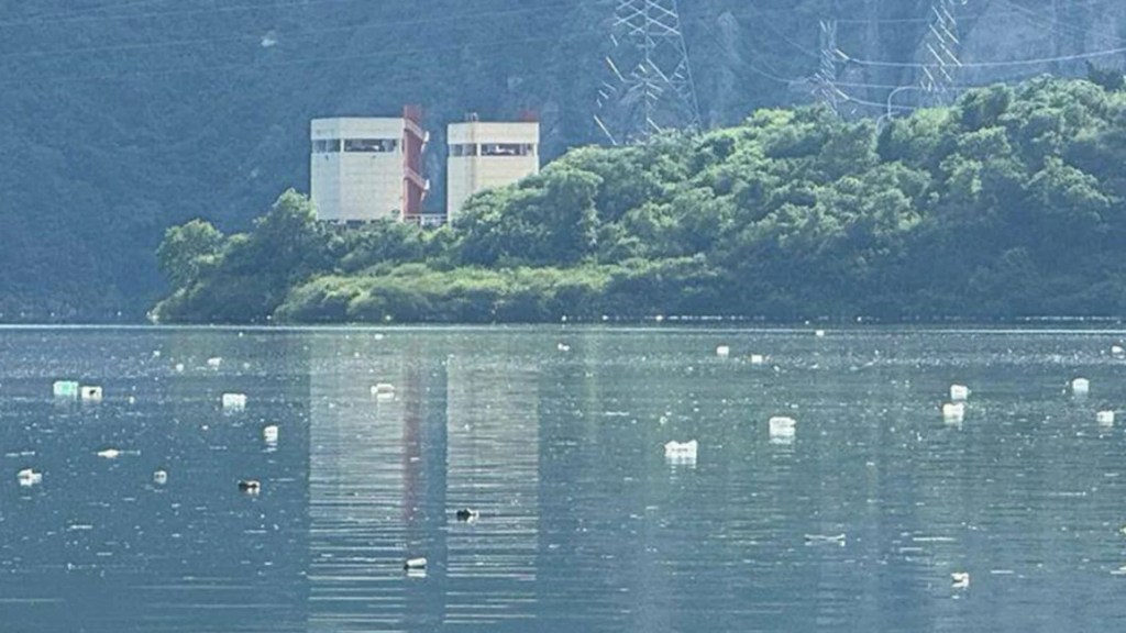 Alarma por basura flotando en el dique Cabra Corral