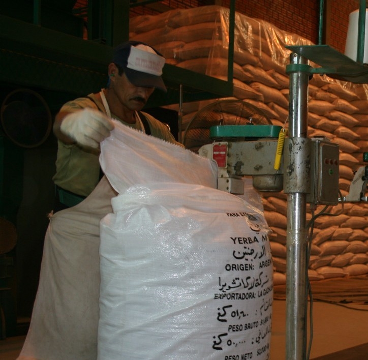Yerba Mate: el consumo interno y las exportaciones superaron los 29 millones de kg en marzo 2023