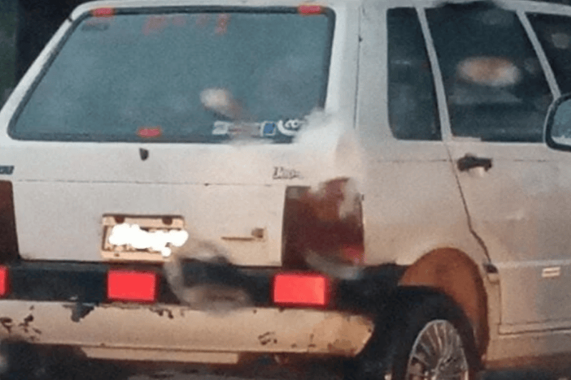 MISIONES - San Vicente: Una mujer se arrojó de un auto en marcha sobre RN14