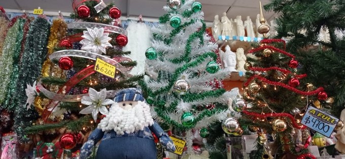 Fiestas de Fin de Año: Cuánto sale armar un “Arbolito” para Navidad