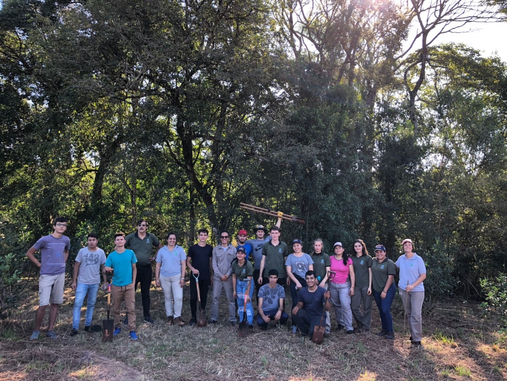Misiones: Árboles para yerbales productivos y sustentables en San Vicente