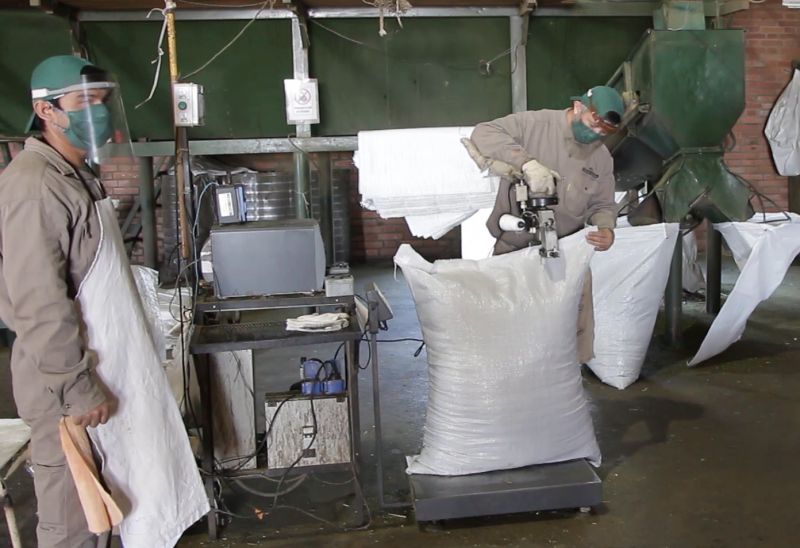 El sector yerbatero mantiene la calidad para abastecer a los consumidores