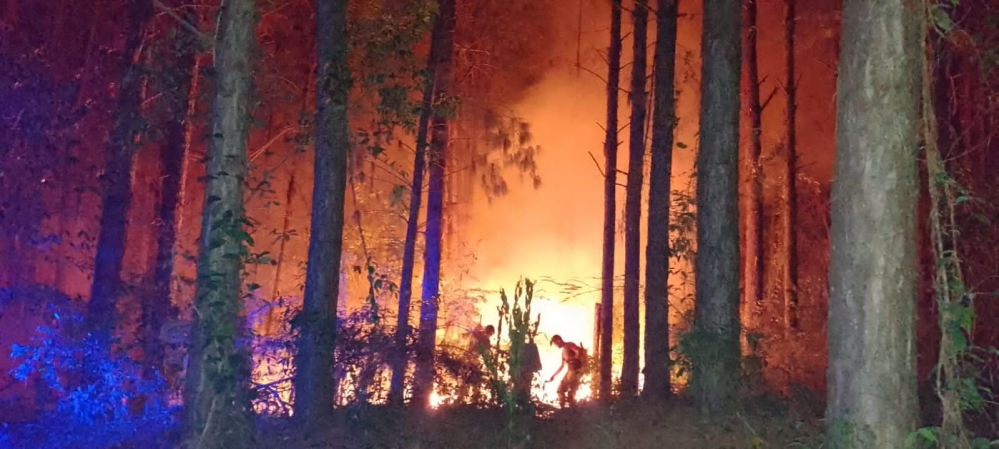 MISIONES – Duras acciones contra quienes generan focos de incendio