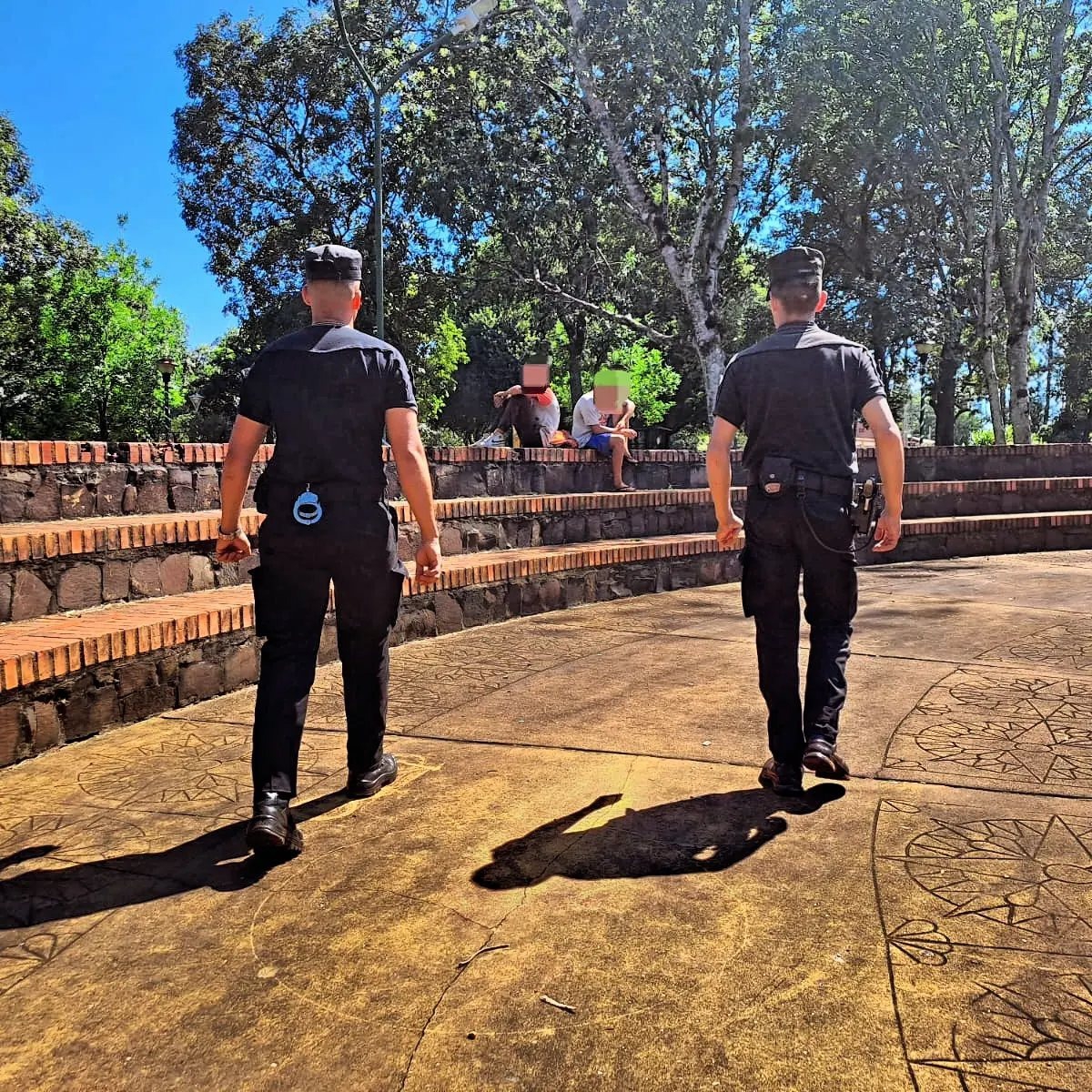 Misiones: Con mayor presencia policial en la vía pública los delitos en la Provincia se redujeron en un 52%