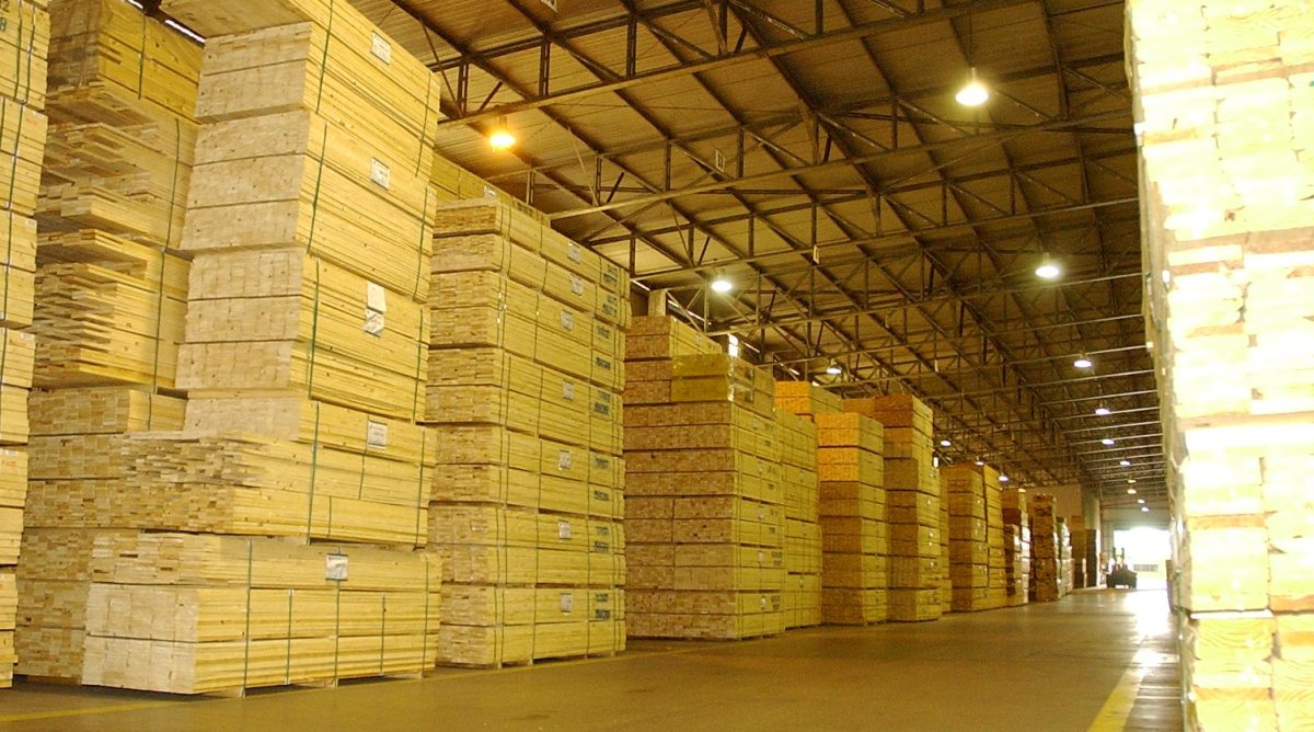Competitividad cero: Advierten que, «con retenciones del 15% el sector forestal prácticamente deja de exportar”