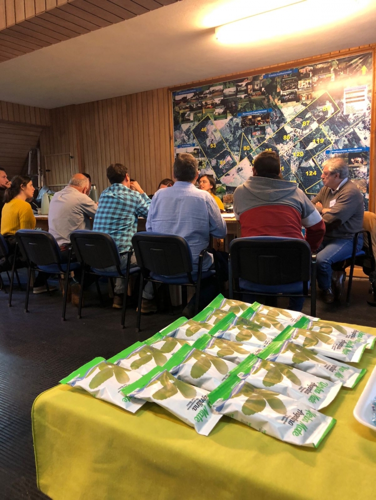 Se iniciaron los talleres de revisión del Plan Estratégico Yerbatero