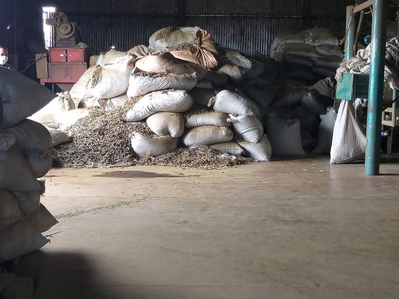 El INYM clausuró un molino clandestino y un depósito con palos de yerba mate