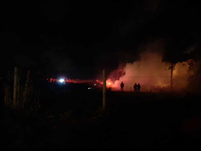 MISIONES – San Vicente: La pericia de los Bomberos evitó una tragedia - VIDEO