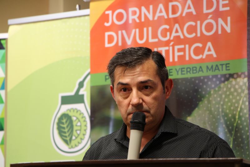 Cambio climático y yerba mate: “Tenemos el desafío de seguir produciendo con menor disponibilidad hídrica”