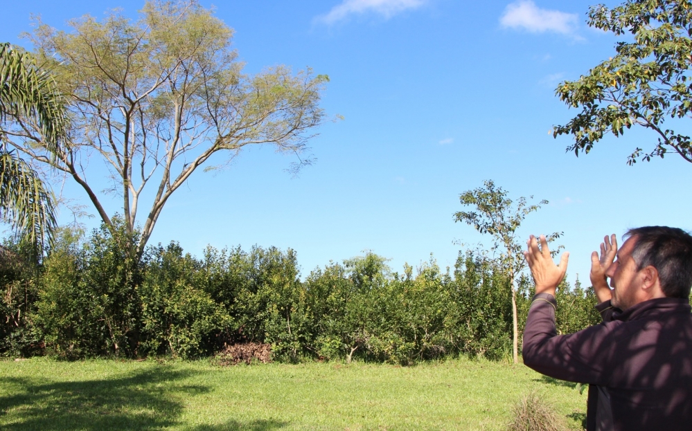 Cerdá: El INYM tiene un enorme potencial para avanzar con yerbales agroecológicos
