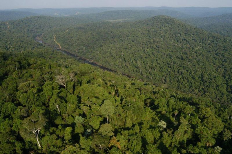 Misiones defiende su decisión de venta de bonos de carbono y rechaza versiones antojadizas