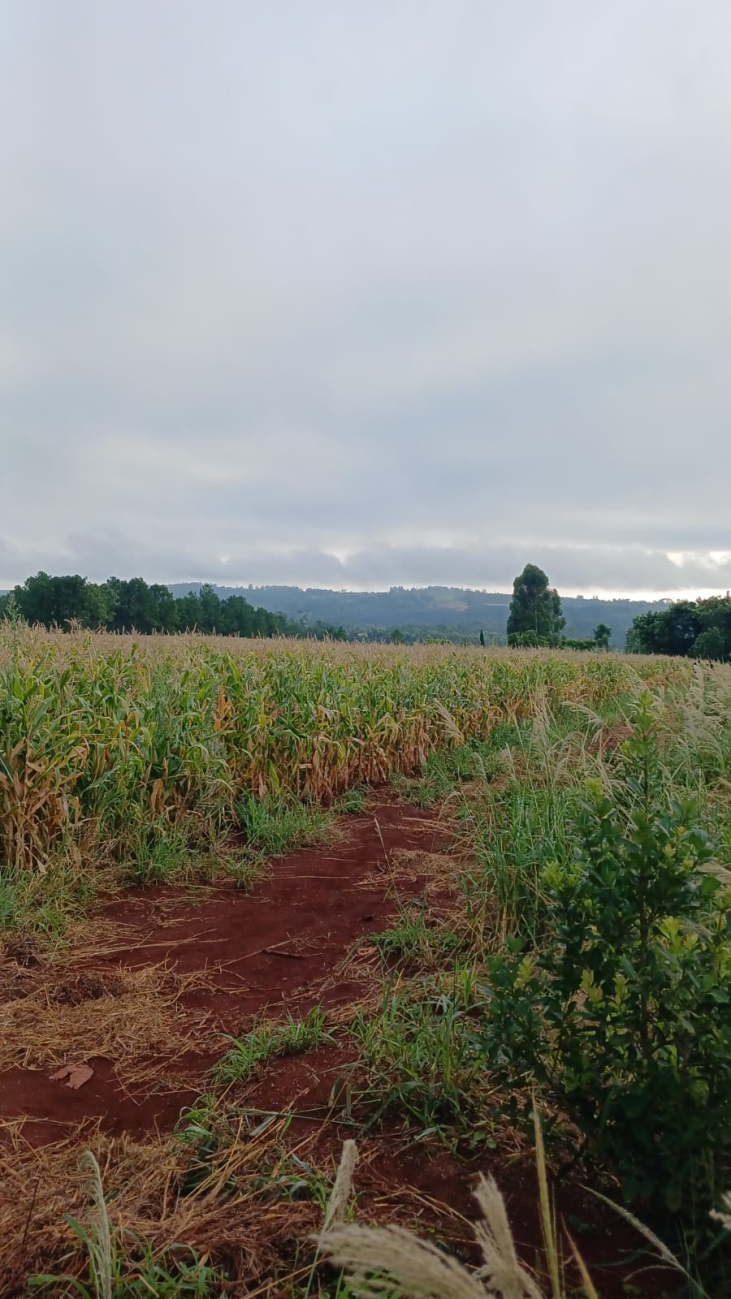 MISIONES – Col Aurora: El peor final para una niña de 10 años