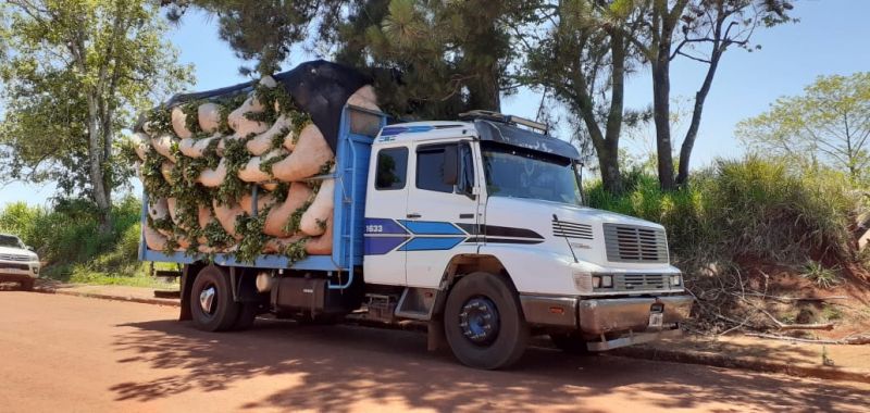 MISIONES – Col. Victoria: Secuestran camión que transportaba 109 raídos de hoja verde de yerba mate