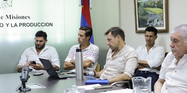 Misiones: Dólar tabacalero y retenciones indispensables para el precio del Burley