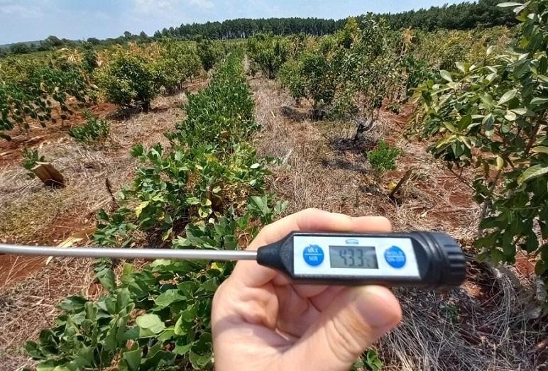 Cómo recuperar la capacidad del suelo y retener agua en la chacra