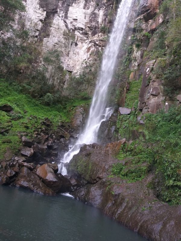 El IProDHa inició el proceso para restaurar las vertientes que preservan el cauce del arroyo Cuña Pirú