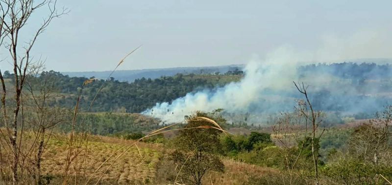 Bosques nativos: registran quemas en Picada Mandarina, misma área del gran incendio de hace meses atrás en Reserva de Biosfera Yabotí hace 8 meses