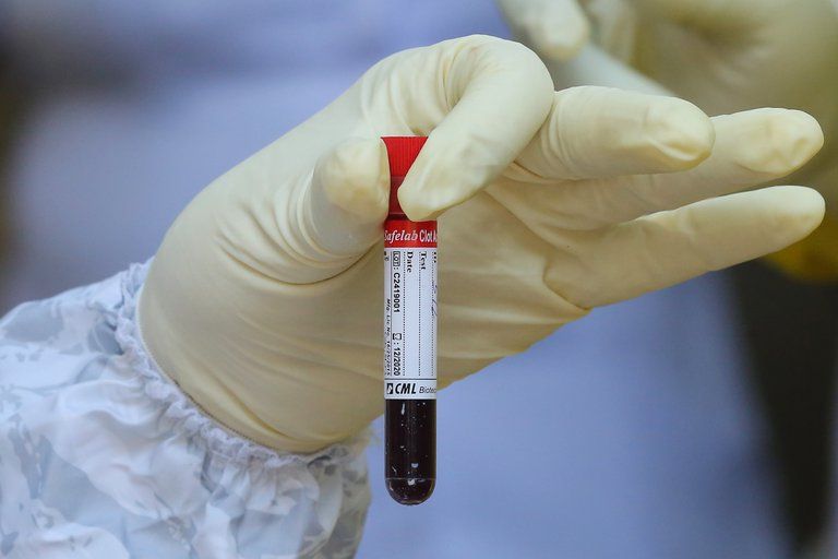 COVID-19: Revelan cuáles son los grupos sanguíneos más susceptibles al contagio