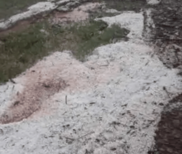 Comunales sanvicentinas: Consecuencias de la fuerte tormenta en la zona