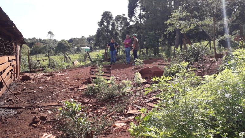 Comunales sanvicentinas: Continúa la entrega de semillas para huerta en zonas rurales
