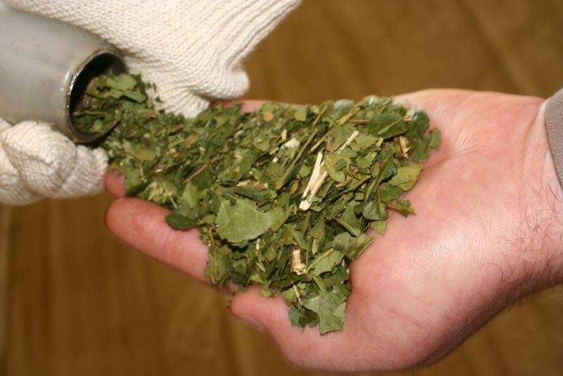 El INYM intensifica los controles de yerba mate importada