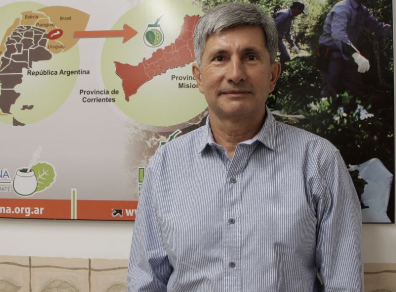 El INYM controlará la calidad de la yerba canchada importada